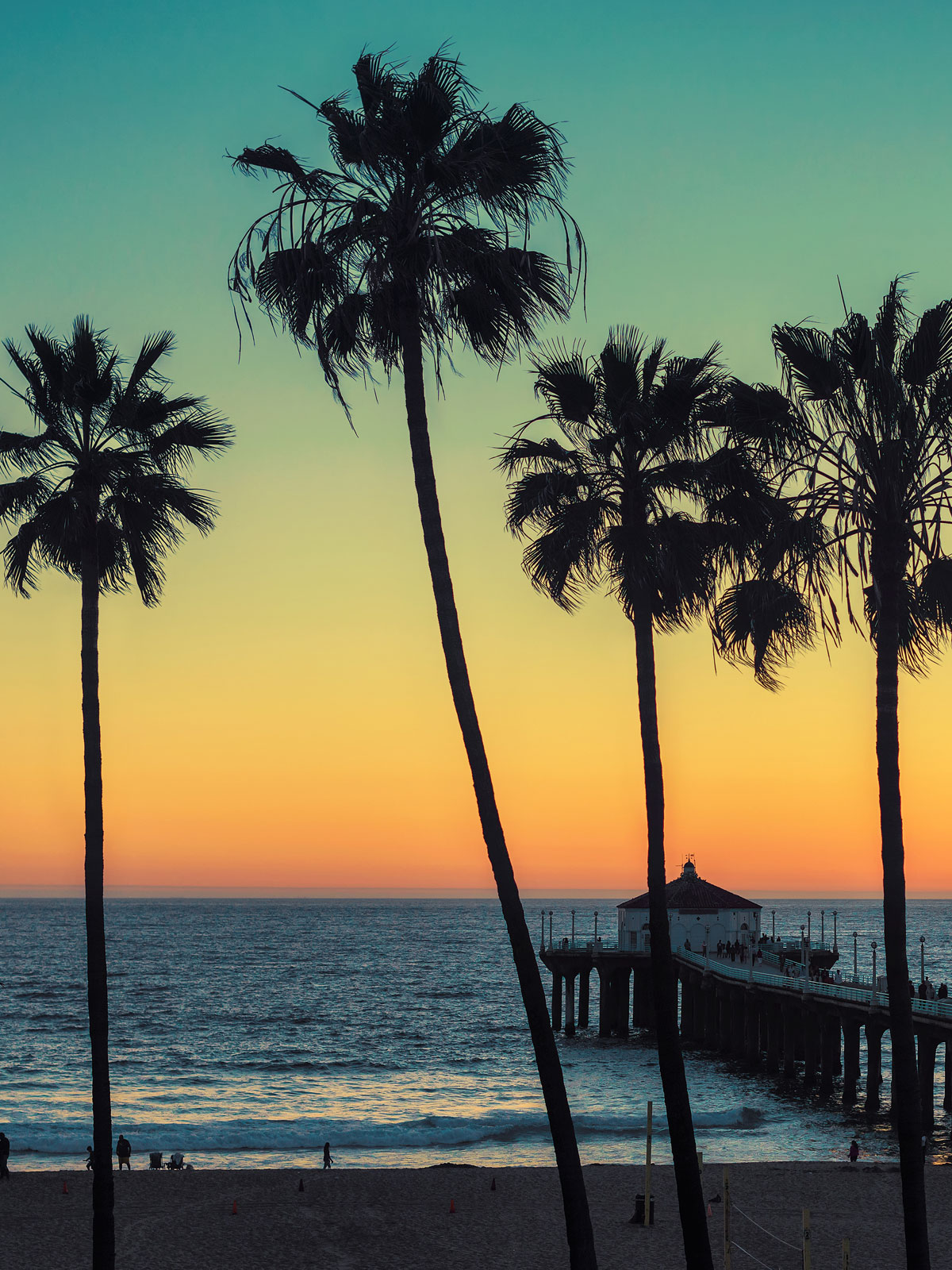 Palm trees in the sunset.